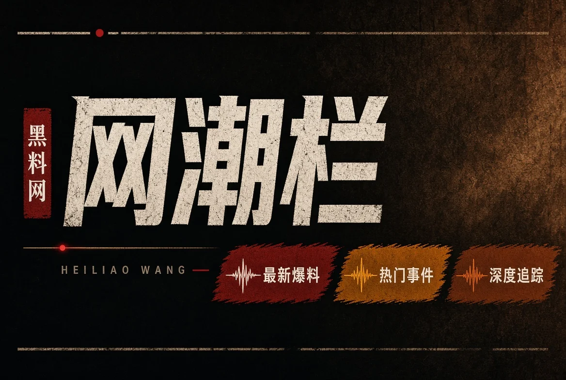 网潮栏栏目配图